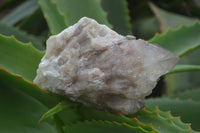 Natural Cascading White Phantom Smokey Quartz Clusters  x 6 From Luena, Congo - Toprock Gemstones and Minerals 