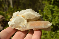 Natural Spirit Quartz Clusters x 6 From Boekenhouthoek, South Africa - TopRock