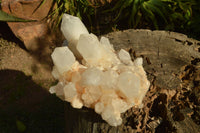 Natural Large Milky White Quartz Cluster With Clean Intact Crystals  x 1 From Madagascar - TopRock