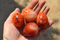 Polished Gorgeous Deep Red Carnelian Agate Eggs  x 12 From Madagascar - TopRock