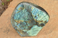 Polished Labradorite Standing Free Form With A Full Face Flash x 1 From Tulear, Madagascar - TopRock