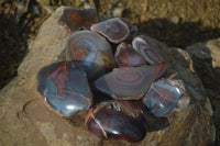 Polished Red River Agate Nodules  x 12 From Sashe River, Zimbabwe - Toprock Gemstones and Minerals 