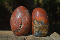 Polished Red Jasper Standing Free Forms  x 2 From Madagascar - Toprock Gemstones and Minerals 