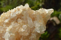 Natural Mixed Quartz Clusters x 6 From Madagascar - TopRock