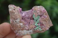 Natural Mixed Salrose & Chrysocolla Dolomite Specimens  x 24 From Kakanda, Congo - TopRock