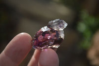 Natural Single Smokey Amethyst Crystals  x 35 From Chiredzi, Zimbabwe - Toprock Gemstones and Minerals 