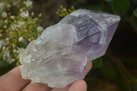 Natural Single Jacaranda Amethyst Crystals  x 12 From Zambia - Toprock Gemstones and Minerals 