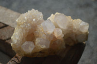 Natural White Cactus Spirit Quartz Clusters  x 12 From Boekenhouthoek, South Africa - Toprock Gemstones and Minerals 