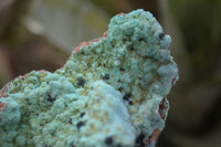 Natural Drusy Coated Chrysocolla & Malachite Dolomite Specimens x 3 From Congo