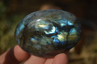 Polished  Flashy Labradorite Palm Stones  x 12 From Tulear, Madagascar