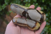 Polished Septaria (Calcite & Aragonite) Massage Wands x 6 From Madagascar