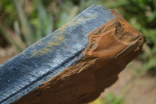 Natural Sliced Tigers Eye Specimen x 1 From Prieska, South Africa - Toprock Gemstones and Minerals 