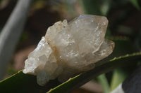 Natural Cascading Clear Quartz Crystals  x 12 From Luena, Congo - Toprock Gemstones and Minerals 