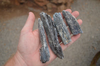 Natural Medium Sized Blue Kyanite with Black Mica Crystals x Sold per 1 Kg -  From Karoi, Zimbabwe - TopRock