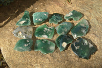 Polished One Side Polished Emerald Mtorolite Plates  x 12 From Zimbabwe