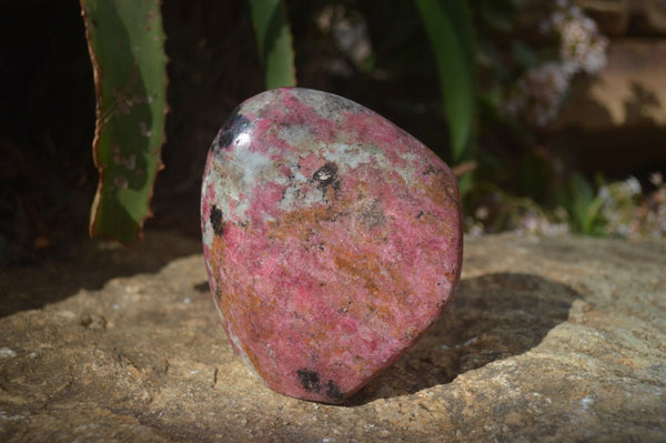 Polished Rhodonite Standing Free Form x 1 From Zimbabwe