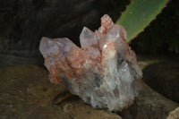 Natural Sugar Amethyst Clusters  x 6 From Zambia - Toprock Gemstones and Minerals 