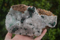 Natural Rare Ball Malachite On Drusy Quartz & Dolomite Matrix  x 1 From Kambove, Congo - Toprock Gemstones and Minerals 