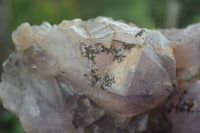 Natural Jacaranda Amethyst Cluster x 1 From Mumbwa, Zambia - TopRock