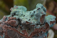 Natural Drusy Coated Chrysocolla & Malachite Dolomite Specimens x 3 From Congo