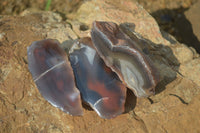 Polished Red River Agate Nodules  x 12 From Sashe River, Zimbabwe - Toprock Gemstones and Minerals 