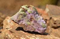 Natural Selected Stichtite & Green Serpentine (Atlantisite) Cobbed Specimens  x 8 From Barberton, South Africa - TopRock