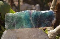 Polished Watermelon Fluorite Slices  x 2 From Uis, Namibia