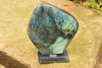 Polished Labradorite Standing Free Form With A Full Face Flash x 1 From Tulear, Madagascar - TopRock