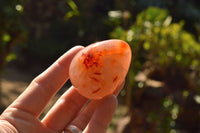 Polished Gorgeous Deep Red Carnelian Agate Eggs  x 12 From Madagascar - TopRock