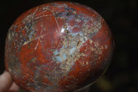 Polished Red Jasper Standing Free Forms  x 2 From Madagascar - Toprock Gemstones and Minerals 