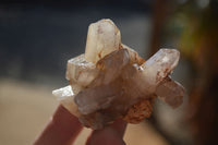 Natural Hematoid Quartz Crystals x 12 From Karoi, Zimbabwe