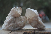 Natural Cascading White Phantom Smokey Quartz Clusters  x 6 From Luena, Congo - Toprock Gemstones and Minerals 