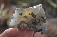 Polished On One Side Emerald Mtorolite Plates x 12 From Mutorashanga, Zimbabwe