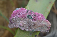 Natural Mixed Salrose & Chrysocolla Dolomite Specimens  x 24 From Kakanda, Congo - TopRock