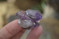 Natural Single Smokey Amethyst Crystals  x 35 From Chiredzi, Zimbabwe - Toprock Gemstones and Minerals 