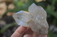 Natural Cascading Clear Quartz Crystals  x 12 From Luena, Congo - Toprock Gemstones and Minerals 