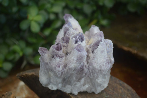 Natural Sugar Amethyst Clusters  x 4 From Solwezi, Zambia - Toprock Gemstones and Minerals 