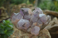 Natural Jacaranda Amethyst Cluster x 1 From Mumbwa, Zambia - TopRock