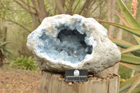 Natural XXL Blue Celestite Geode Specimen x 1 From Sakoany, Madagascar - TopRock