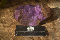 Natural Metallic Purpurite Cobbed Specimens  x 2 From Namibia - Toprock Gemstones and Minerals 