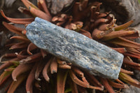 Natural Medium Sized Blue Kyanite with Black Mica Crystals x Sold per 1 Kg -  From Karoi, Zimbabwe - TopRock