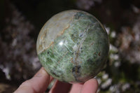 Polished Green Chrysoprase Spheres  x 2 From Madagascar