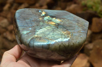 Polished Labradorite Standing Free Form With A Full Face Flash x 1 From Tulear, Madagascar - TopRock