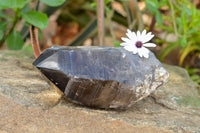 Natural Smokey Quartz Crystal With Polished Termination x 1 From Zomba, Malawi - TopRock