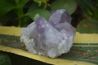 Natural Jacaranda Amethyst Clusters  x 3 From Mumbwa, Zambia - Toprock Gemstones and Minerals 