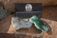 Polished One Side Polished Emerald Mtorolite Plates  x 12 From Zimbabwe