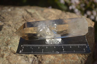 Polished Large Phantom Smokey Quartz Points  x 4 From Madagascar