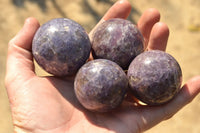 Polished Purple Lepidolite Crystal Spheres  x 8 From Madagascar - TopRock