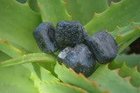 Natural Alluvial Schorl / Black Tourmaline Crystals  - Sold per 1 Kg (200 to 280 pieces) - From Zimbabwe - Toprock Gemstones and Minerals 