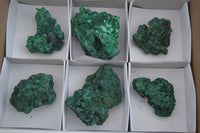 Natural Chatoyant Silky Malachite Specimens  x 6 From Kasompe, Congo - TopRock